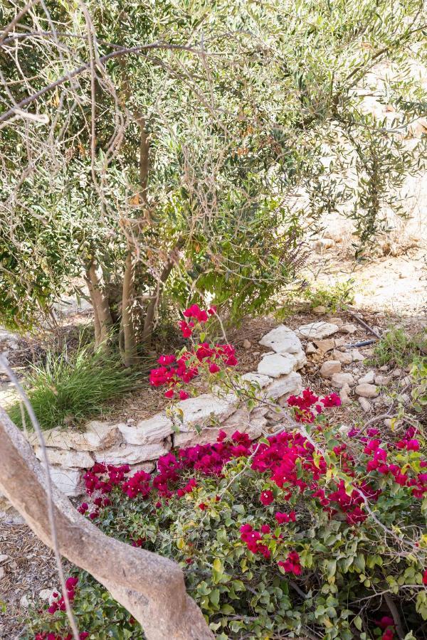Naot Farm Villa Mashabbe Sade Exterior photo